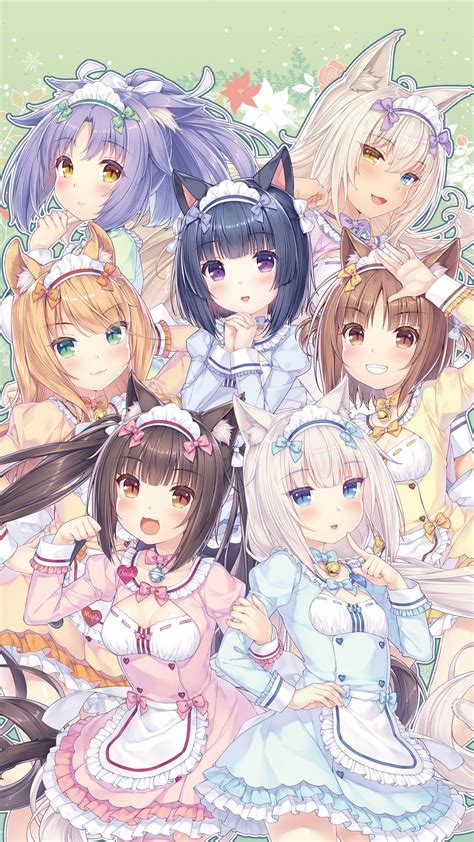 nekopara game|Nekopara (Video Game) .